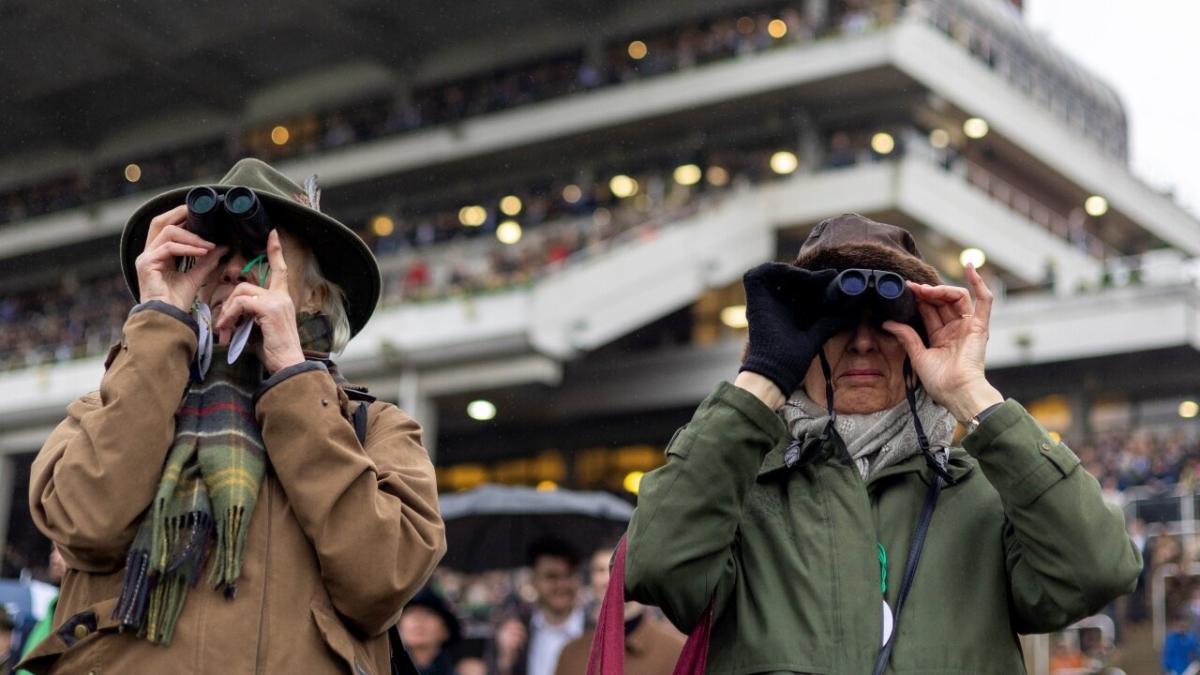 Cheltenham Gold Cup